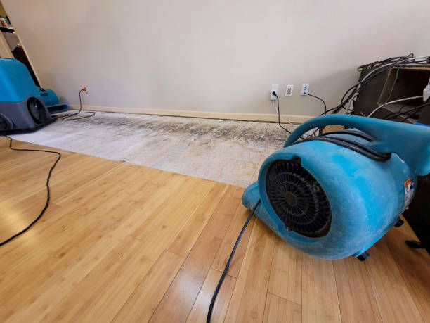 Professional Flood Damage Cleanup technician working in Scipio, UT